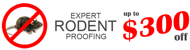 rodent proofing special offer