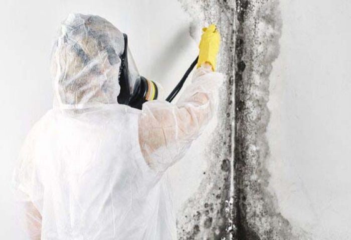 mold and water damage